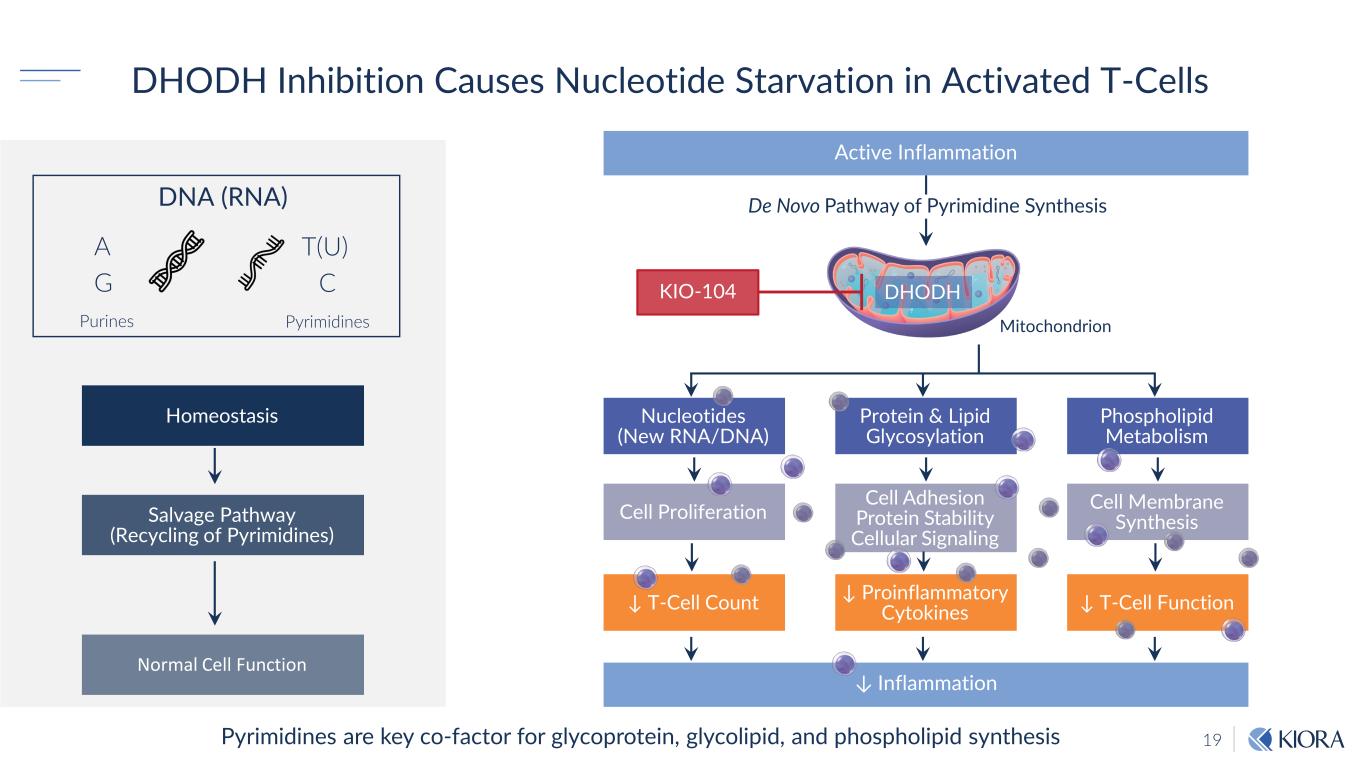 slide19